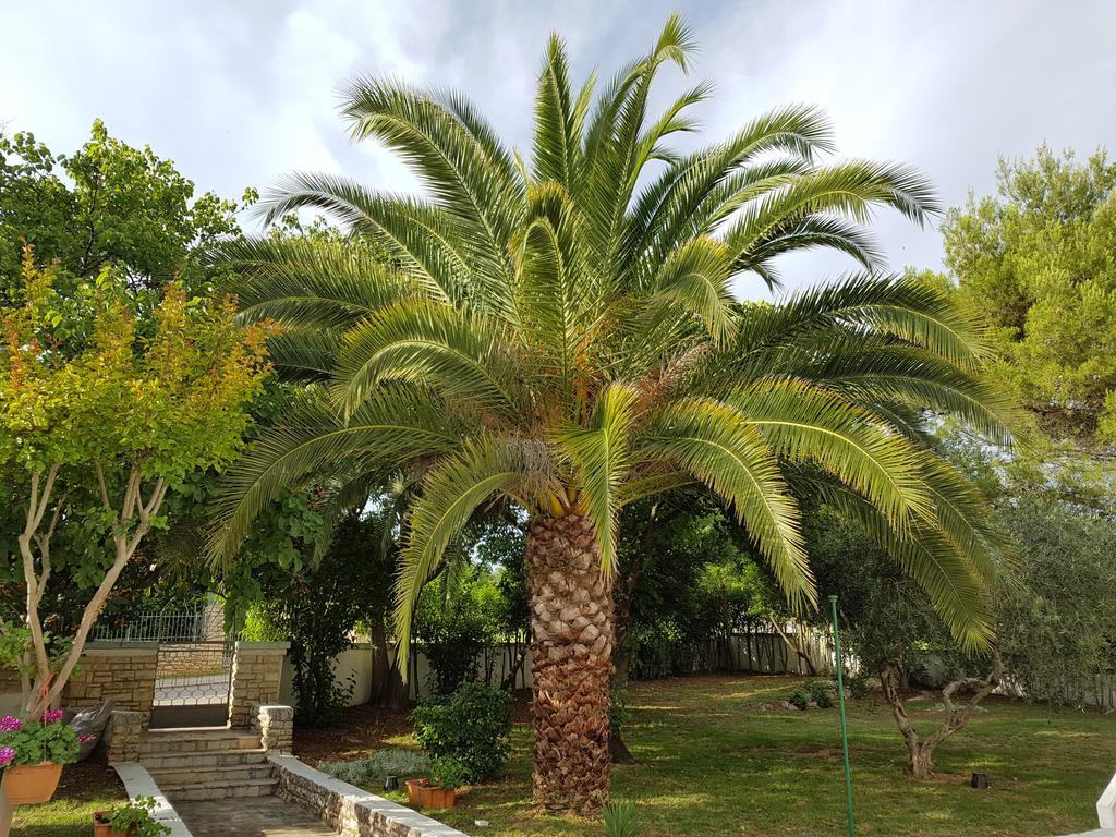 Villa Rosa With Yard And Children'S Playground Tar-Vabriga 外观 照片