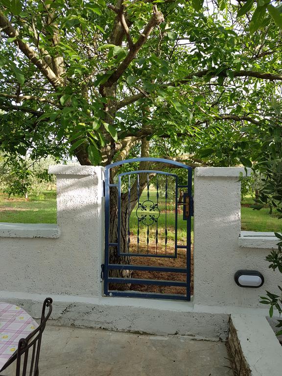 Villa Rosa With Yard And Children'S Playground Tar-Vabriga 外观 照片