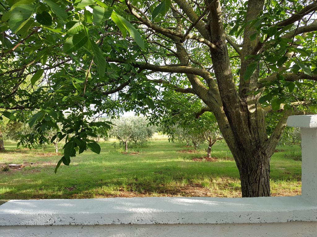 Villa Rosa With Yard And Children'S Playground Tar-Vabriga 外观 照片