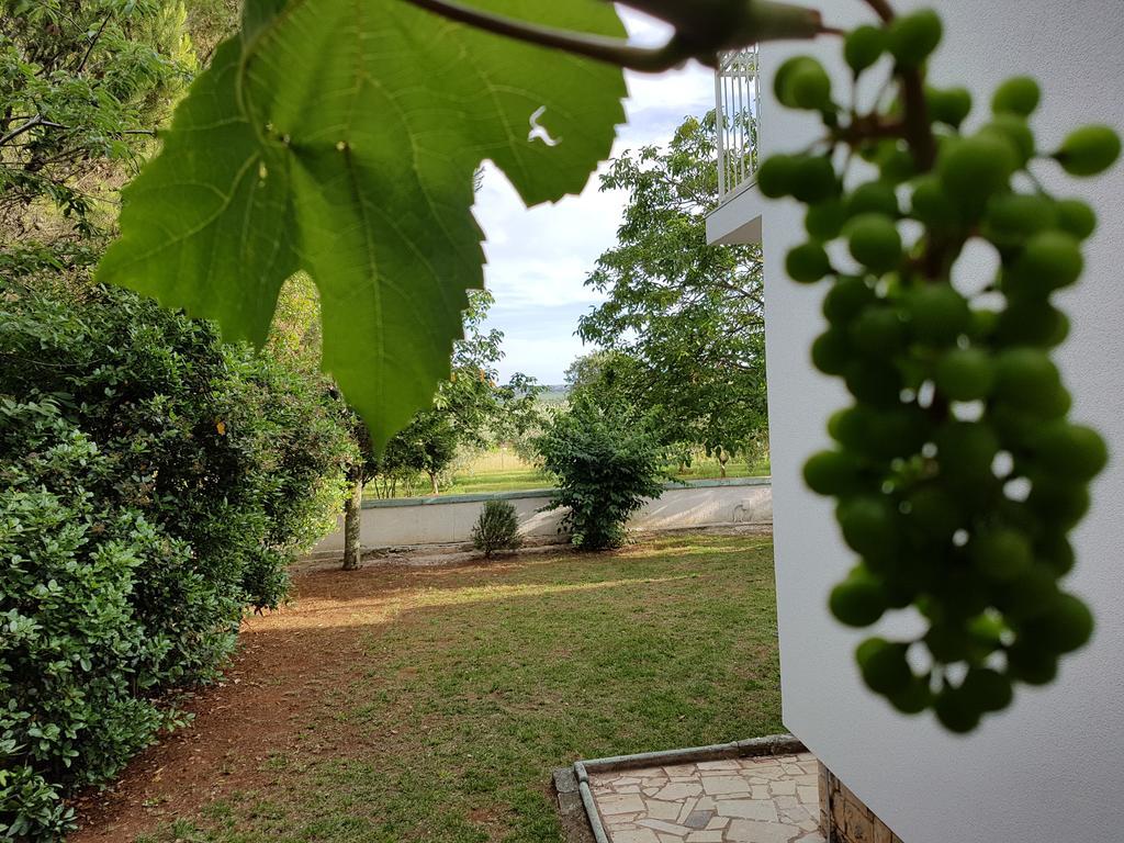 Villa Rosa With Yard And Children'S Playground Tar-Vabriga 外观 照片